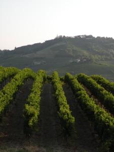 Ảnh trong thư viện ảnh của Agriturismo Bastian ở Fontanile +59 ảnh