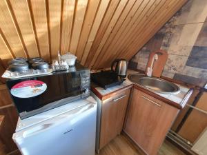 a small kitchen with a microwave on top of a refrigerator at Lavanda cottage in Verkhovyna