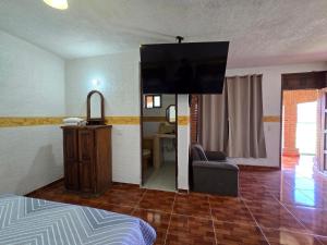 a living room with a flat screen tv on the wall at Posada del camino in Tlahuelilpan
