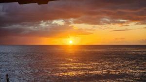 Gallery image of Survivor Samoa Beach Resort in Falelatai