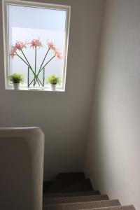 Foto sihtkohas Höfn asuva majutusasutuse Guesthouse Dyngja galeriist