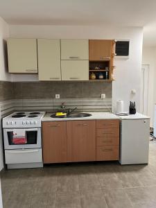 Kuchyň nebo kuchyňský kout v ubytování Apartman Gajić
