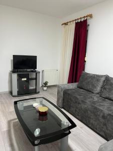 TV a/nebo společenská místnost v ubytování Apartman Gajić