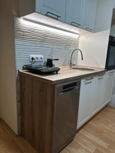 Kuchyň nebo kuchyňský kout v ubytování Royal Apartmani