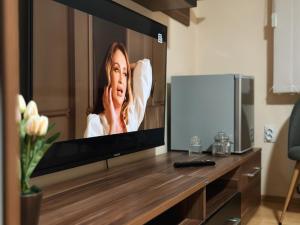 TV a/nebo společenská místnost v ubytování Royal Apartmani