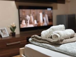 TV a/nebo společenská místnost v ubytování Royal Apartmani