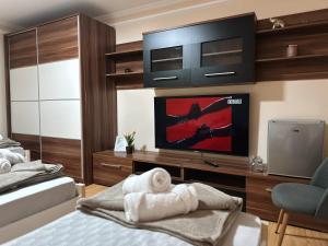 TV a/nebo společenská místnost v ubytování Royal Apartmani