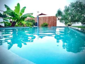 una grande piscina di acqua blu in un cortile di Petit studio au fond du jardin a Saint-André-de-Sangonis