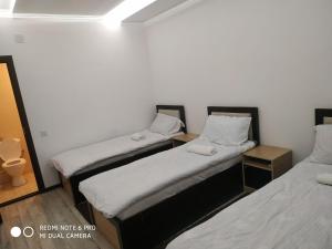 Foto de la galeria de Chashma Dushanbe a Sary-Assiya