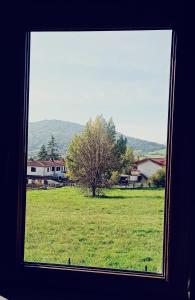 Phong cảnh thiên nhiên gần nhà nghỉ dưỡng