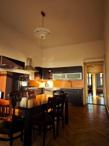 Kuchyň nebo kuchyňský kout v ubytování APARTAMENT CIESZYN