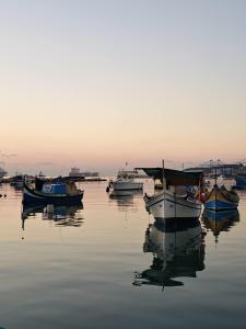 Φυσικό τοπίο κοντά σε αυτός ο ξενώνας