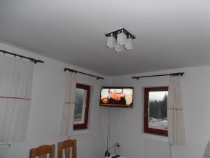 En tv och/eller ett underhållningssystem på Pensiunea Agroturistica Alexandra