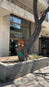 Fotografie z fotogalerie ubytování Andes Vista Providencia v destinaci Santiago