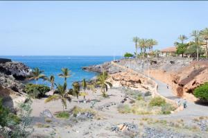 a beach with palm trees and the ocean at Paraíso del Encanto in Adeje