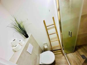 un bagno con wc e doccia di 913 Sweety Diamond View a Le Diamant