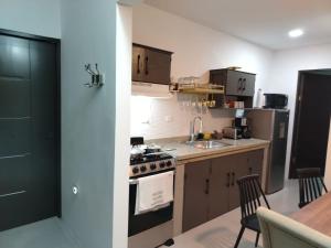 福尔图纳CR Arenal Apartments Familiar的带炉灶和水槽的厨房