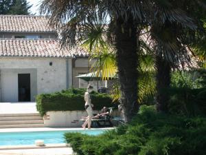 a man standing next to a swimming pool with a palm tree at Gite La Sempesserre in Monjoi