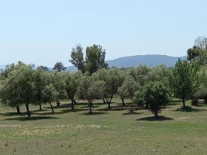 Paesaggio naturale nelle vicinanze della casa vacanze