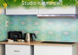 a kitchen with a counter with a stove top oven at Joli studio avec terrasse, 2km A79, 6km le Pal in Dompierre-sur-Besbre +5 photos