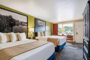 Postel nebo postele na pokoji v ubytování Super 8 by Wyndham Lake George/Downtown + 37 fotografií