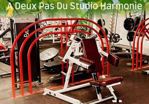 a gym with a red apparatus with a chair in it at Joli studio avec terrasse, 2km A79, 6km le Pal in Dompierre-sur-Besbre