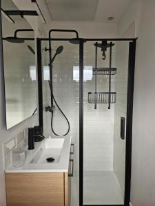a bathroom with a sink and a shower at Studio Le Petit Sablé in Concarneau