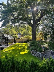 a tree in the middle of a lawn with a tree at Cottage with sauna, in the heart of the Tammisaari in Tammisaari