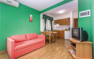 Kuchyň nebo kuchyňský kout v ubytování One-Bedroom Apartment In Tar-Vabriga