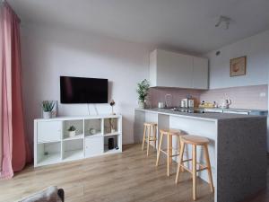 Η κουζίνα ή μικρή κουζίνα στο Apartamenty Lubin
