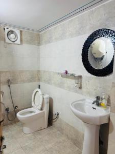 ウダイプールにあるFootprint Hostel Udaipurのトイレ、洗面台、鏡のあるバスルーム