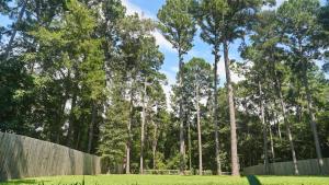 Garður fyrir utan Towering Pines - 3 Beds, Near Lake, Huge Backyard
