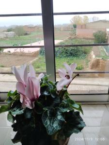 Φωτογραφία από το άλμπουμ του La Casita de San Nicolás σε Palacios de Ríopisuerga