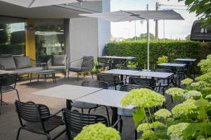 Zahrada ubytování Hotel Essenza