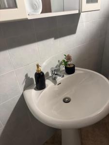 a white bathroom sink with two plants on it at La Corte dei Celti in San Benedetto Del Querceto