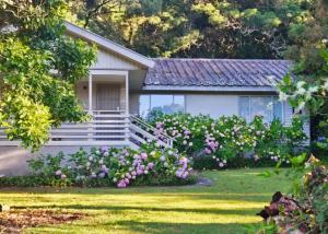 a house with pink roses in front of it at Whispering Woods Cottage in Natureʼs Valley