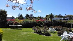 Zahrada ubytování Phoenix Thermal Resort - Taupo