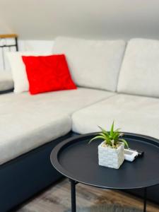 Posezení v ubytování Apartments Paradise