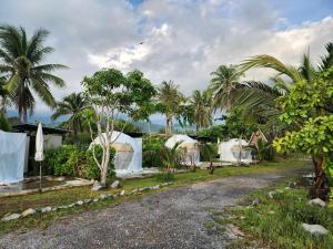 a row of tents in front of palm trees at Kawinlodge khanom in Ban Thung O +89 photos