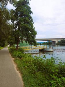 Výhled na řeku, která protéká v blízkosti hotelu + 26 fotografií