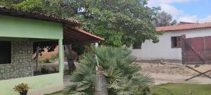 a palm tree in front of a house at Pousada Sossego do Mailson in Barreirinhas