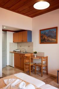 Kuchyň nebo kuchyňský kout v ubytování Vlachakis Hotel