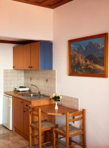 Kuchyň nebo kuchyňský kout v ubytování Vlachakis Hotel