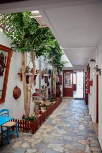 Zahrada ubytování Vlachakis Hotel