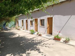 a white house with potted plants in front of it at Casa Rivera in Rivadavia
