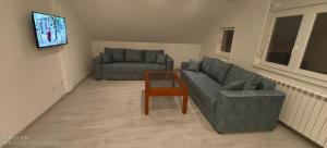 a living room with two couches and a coffee table at Privatna soba Marijana-Olja in Surčin