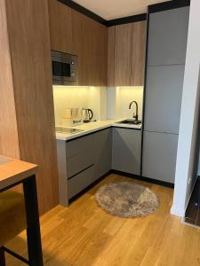 Kuchyň nebo kuchyňský kout v ubytování Apartman Zarić Jahorina - Snježna Dolina Resort