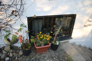 Zahrada ubytování Souterain Appartement 19 min zu Fuß Downtown