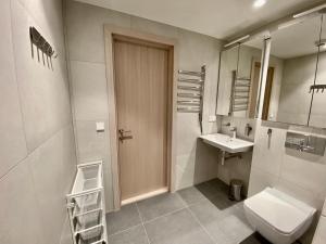 a bathroom with a toilet and a sink and mirror at Vektor Premium Apartment with Rooftop Garden & Free Parking in Tallinn +29 photos