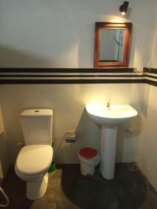 a bathroom with a white toilet and a sink at Little Villa Guest House in Ahangama